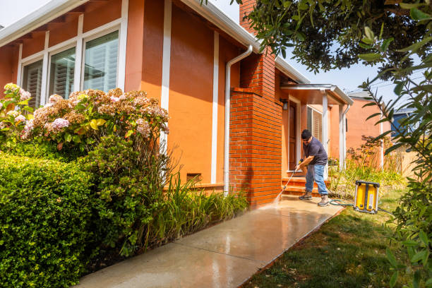 Best Sidewalk Pressure Washing  in Cedville, AR