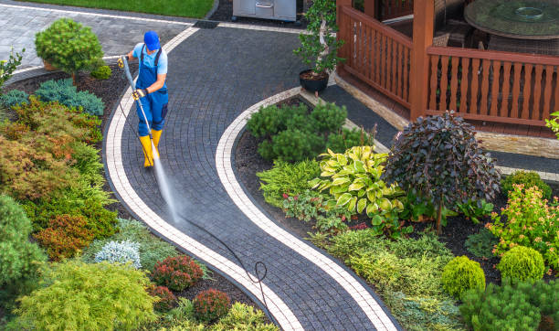 Best Roof Pressure Washing  in Cedville, AR